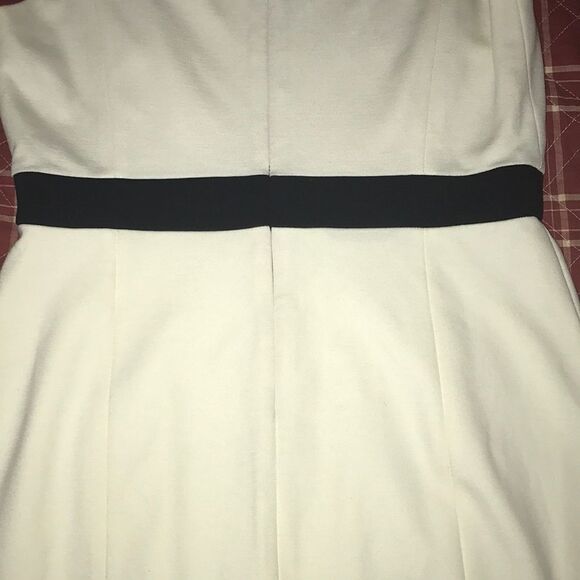 Cynthia steffe black and off white body con dress size 8 new with tags - Picture 7 of 10